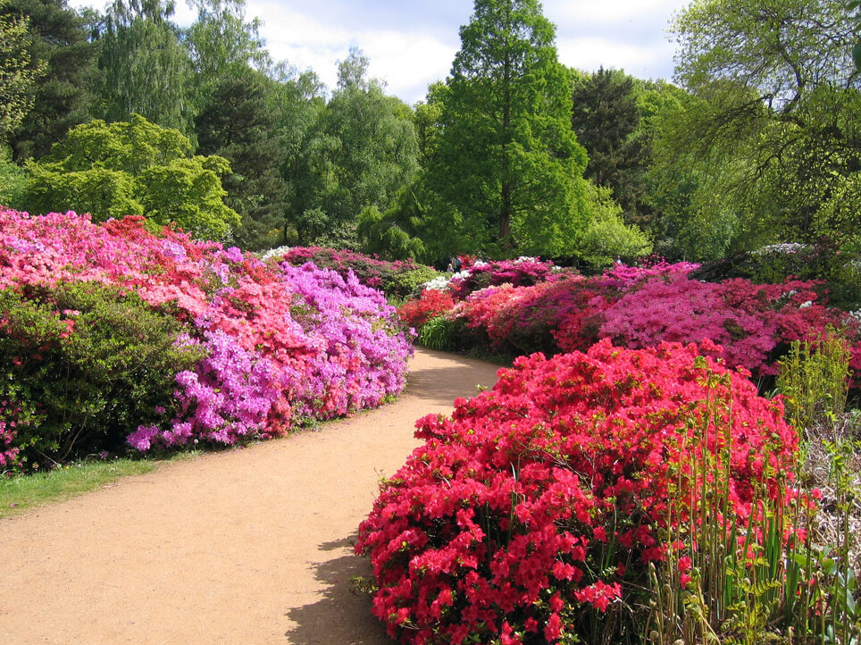 Richmond: Plantacioni Isabella - Richmond | Secret World Trip Planner