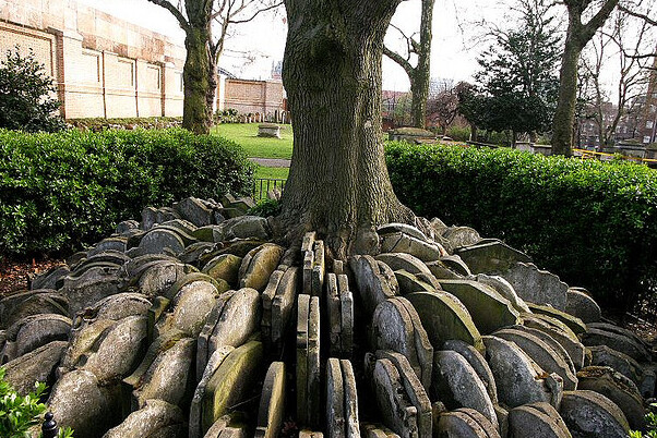 A kemény fa Londonban - Londra | Secret World Trip Planner