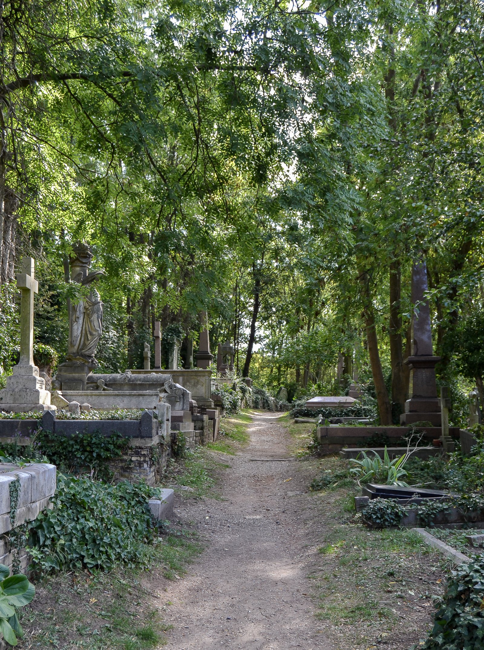 Cirkeln av Libanon och världens största Krukväxter - Londra | Secret World Trip Planner