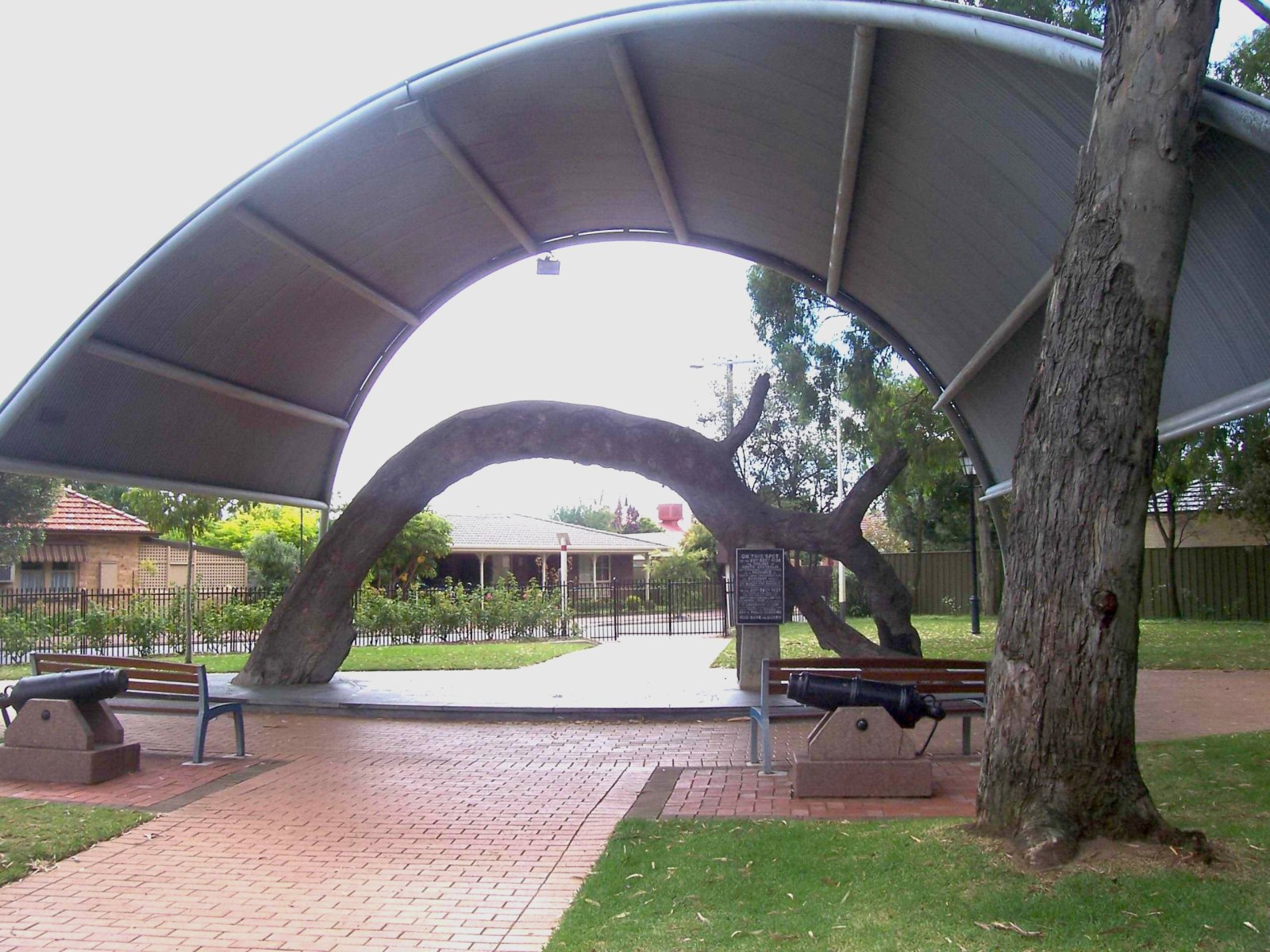古いガムの木 - Glenelg North | Secret World Trip Planner