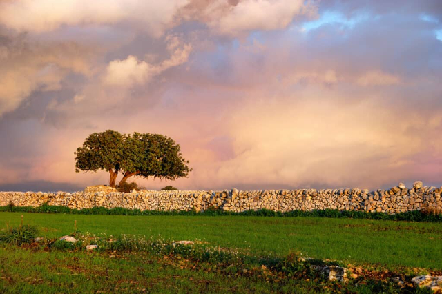 La Carruba - Ragusa | Secret World Trip Planner