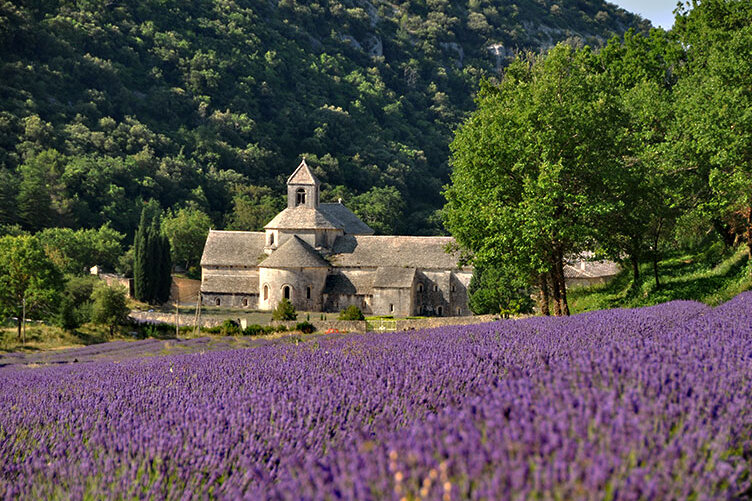 L'abbaye de Sénanque et la vallée secrète de Lavande