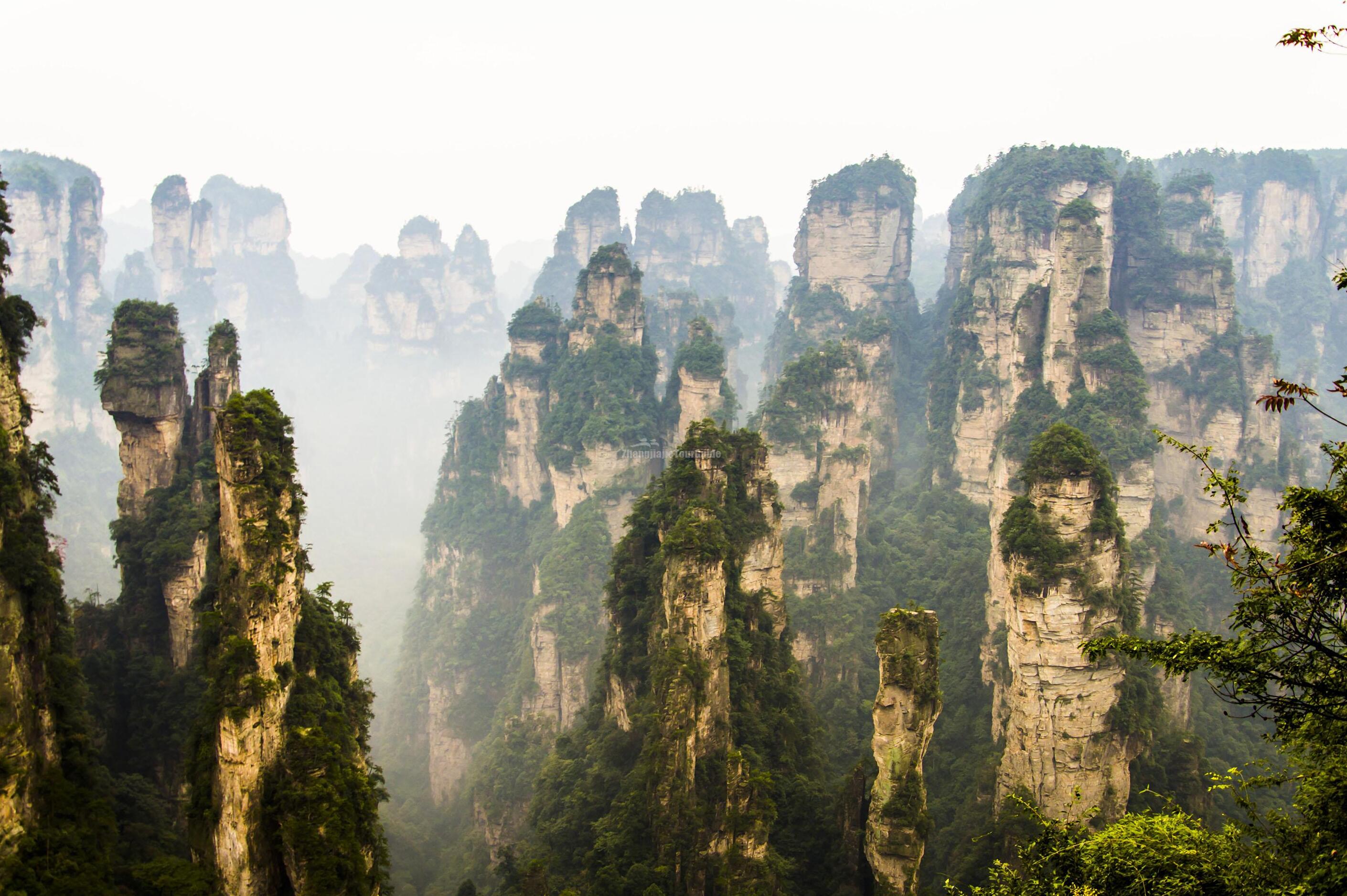 Národný Lesný Park Zhangjiajie - Zhangjiajie | Secret World Trip Planner