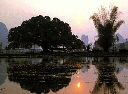 Amba Banyan Tree in langkawi - Guilin | Secret World Trip Planner