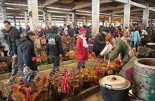 Fuli Kuna Kutha sajarah desa - Guilin Shi | Secret World Trip Planner