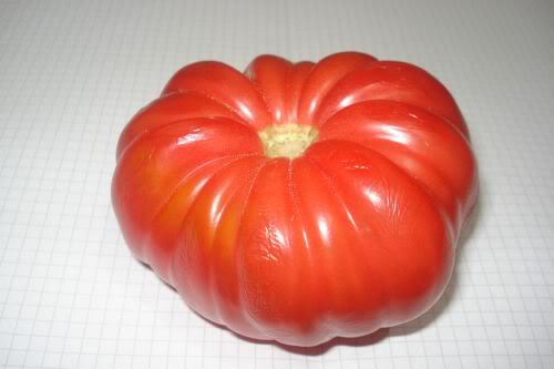 Sorrento POmodori - Sorrento | Secret World Trip Planner