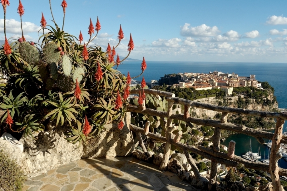 Il Giardino Esotico di Monaco - Monaco | Secret World Trip Planner