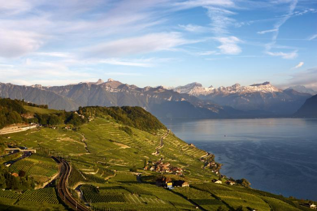 Lavaux، باغ های انگور سوئیس میراث یونسکو. - Distretto di Lavaux-Oron | Secret World Trip Planner