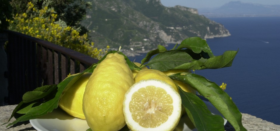 Amalfi citron - Amalfi | Secret World Trip Planner