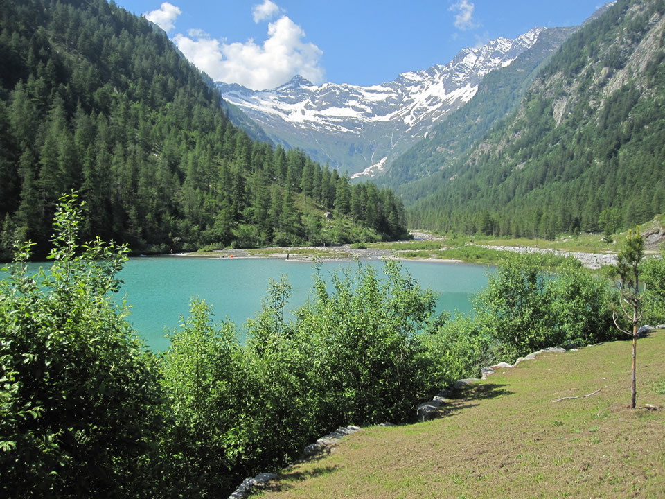 دریاچه پری و کروکت