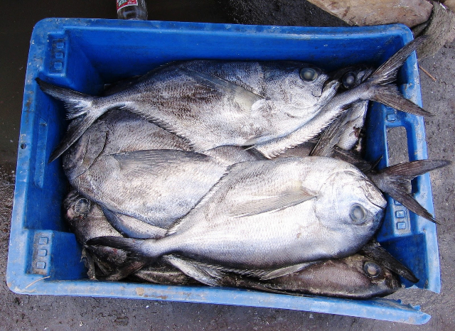 Typiska produkter från Lake District - Frutillar | Secret World Trip Planner