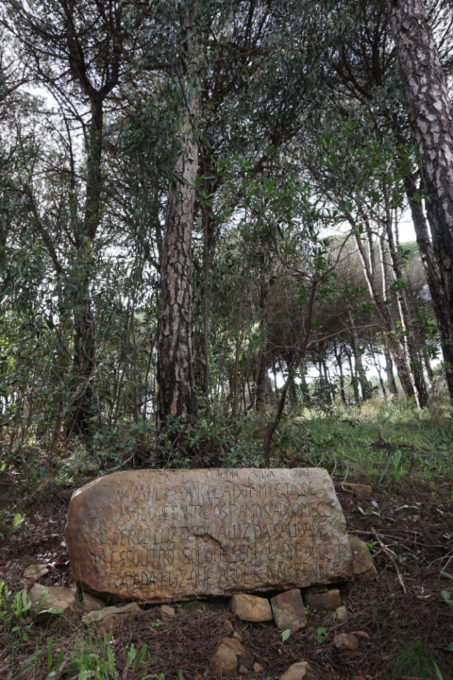 O Camiño das Caras de Pedra - Barão de São João | Secret World Trip Planner