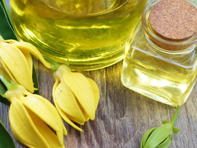 Esencat ylang-ylang - Nosy Be | Secret World Trip Planner
