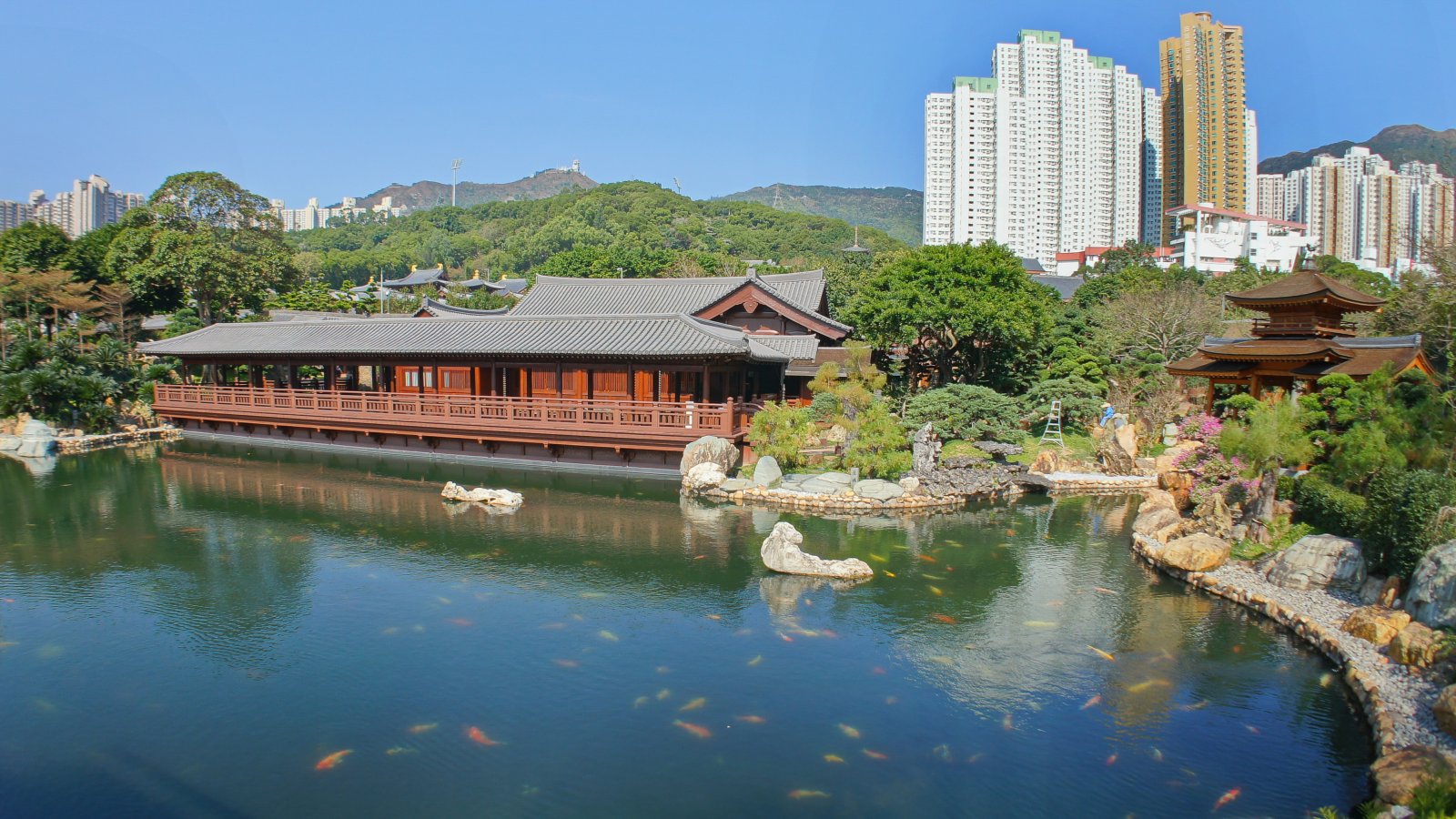 Nan Lian Garden.  - 60 Fung Tak Rd | Secret World Trip Planner