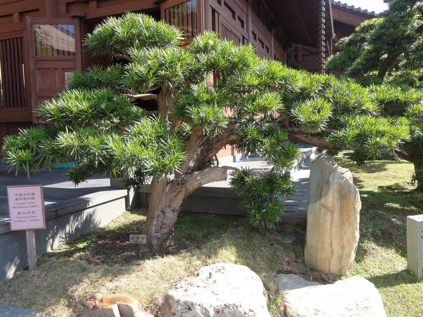 Chi Lin Nunnery - Ha Yuen Leng | Secret World Trip Planner