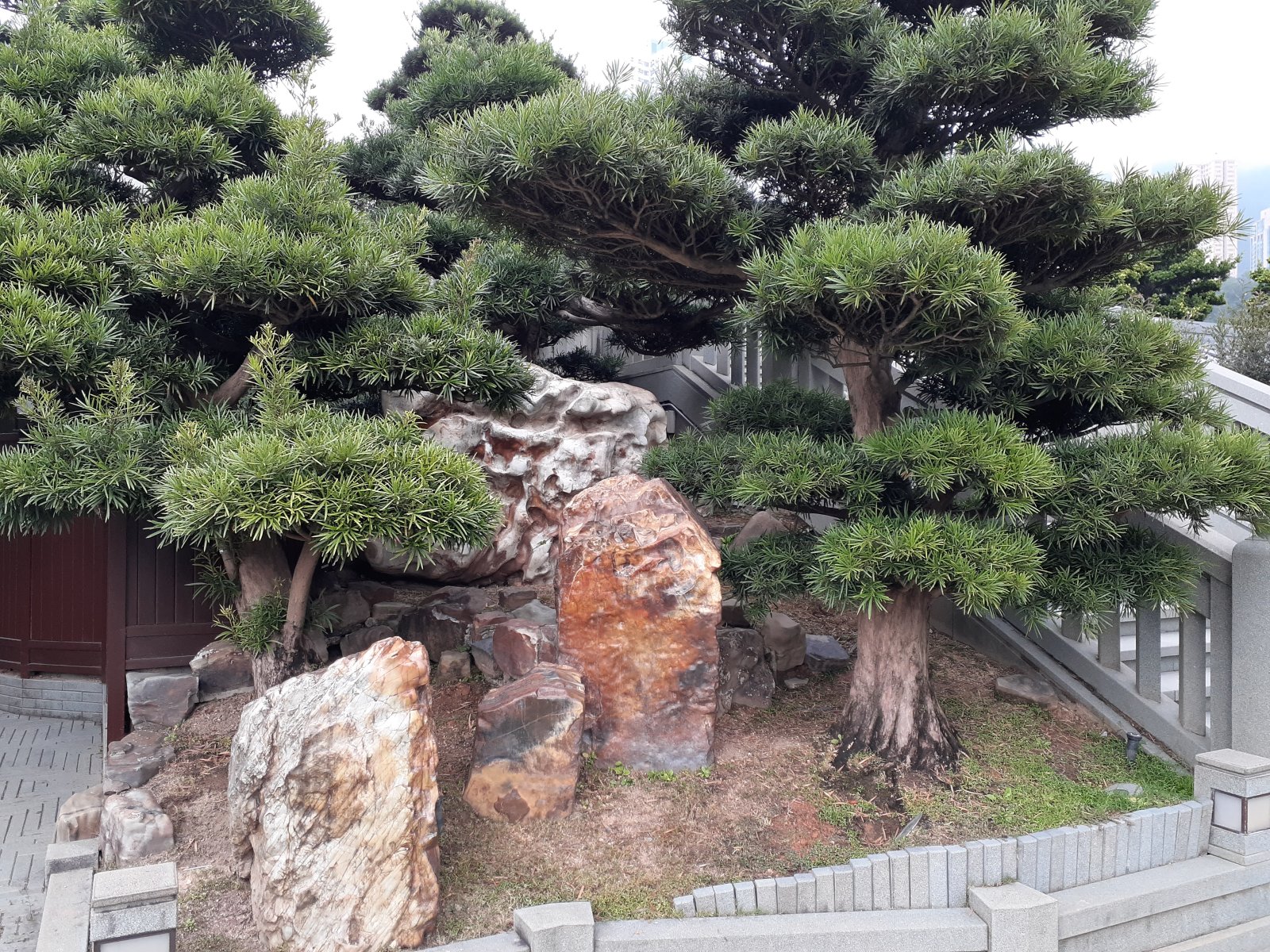 Chi Lin Nunnery - Ha Yuen Leng | Secret World Trip Planner