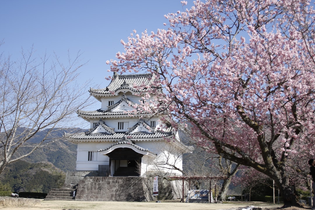 上和岛城：江户时代的12座城之一  - Uwajima | Secret World Trip Planner