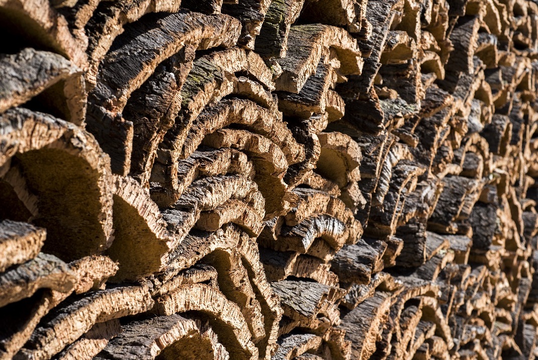 Cork Museum - Busana | Secret World Trip Planner