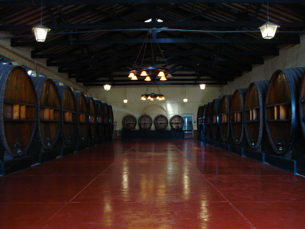 Entdecken Sie das Weinerlebnis in Mendoza, Argentinien - Rivadavia 234 | Secret World Trip Planner