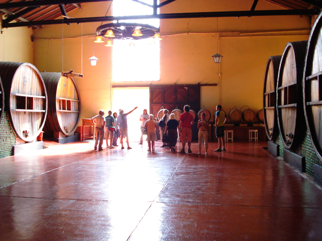 Découvrez l'Expérience du Vin à Mendoza, Argentine - Rivadavia 234 | Secret World Trip Planner