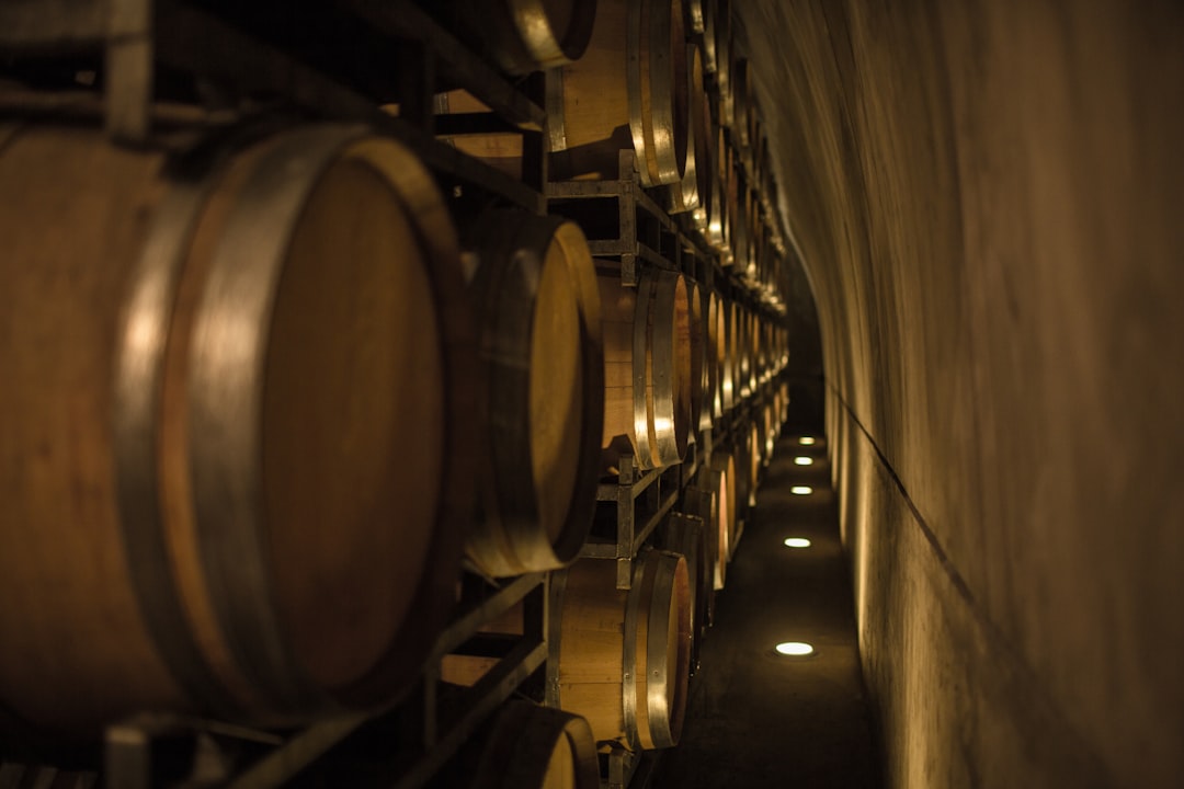 Scopri l'Esperienza del Vino a Mendoza, Argentina - Rivadavia 234 | Secret World Trip Planner
