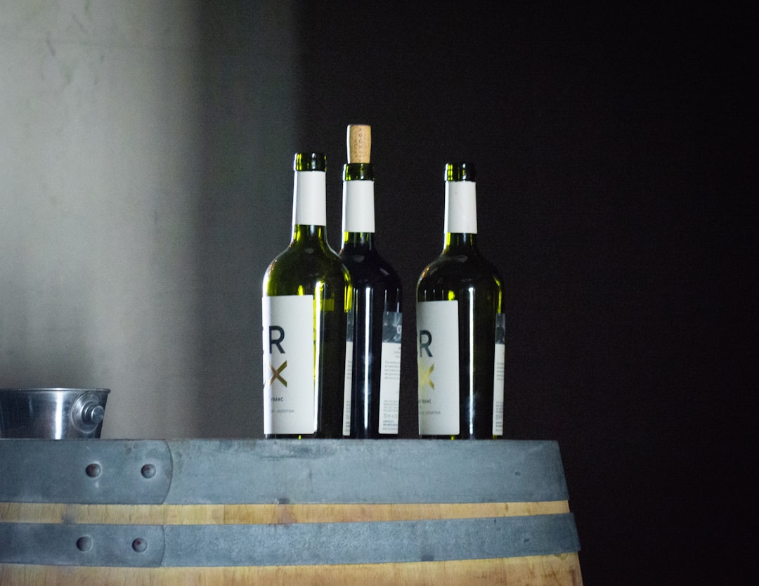 Scopri l'Esperienza del Vino a Mendoza, Argentina - Rivadavia 234 | Secret World Trip Planner