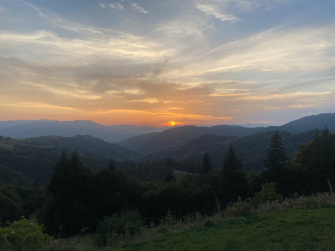 Sonoma Valley: La Magia dei Vini Californiani - Sonoma Valley | Secret World Trip Planner