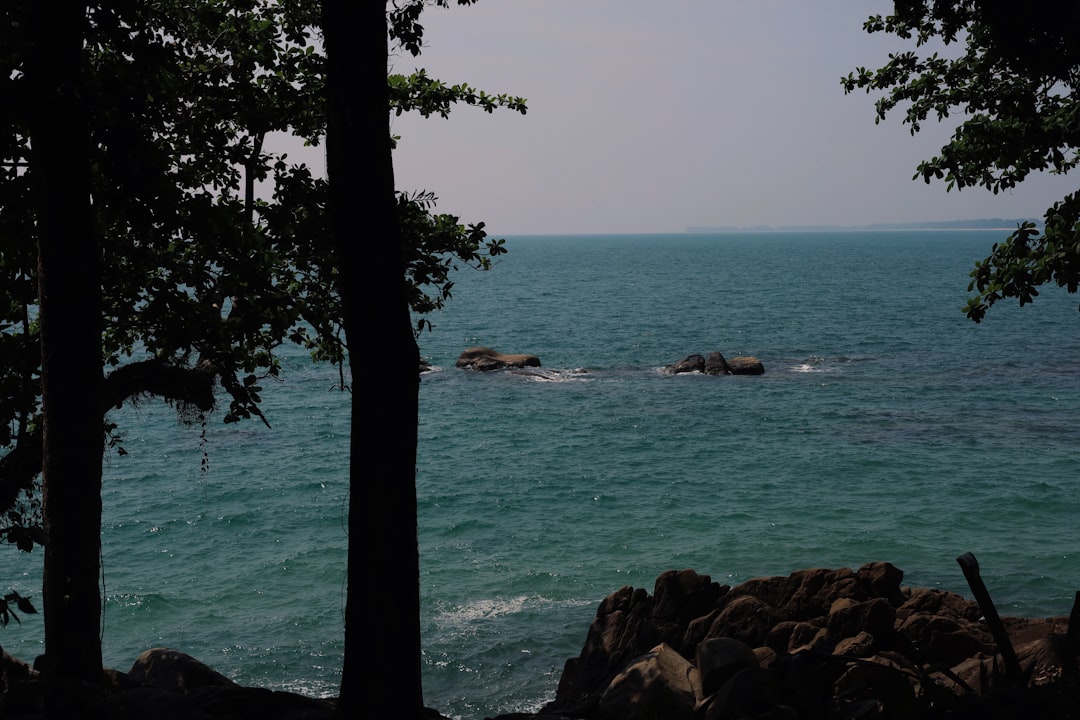 Discover Phuket Islands: Nature and Nightlife Awaits - Distretto di Mueang Phuket | Secret World Trip Planner