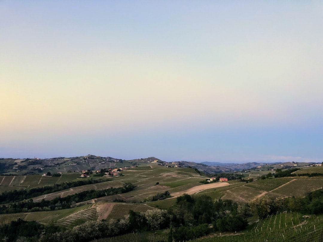 Descubra as Langhe: viagem entre Barolo e Barbaresco - Langhe | Secret World Trip Planner