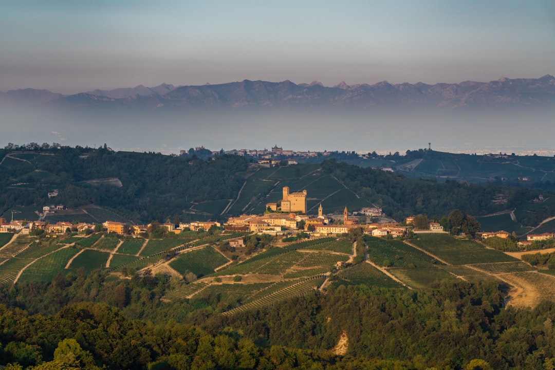 Descubra as Langhe: viagem entre Barolo e Barbaresco - Langhe | Secret World Trip Planner
