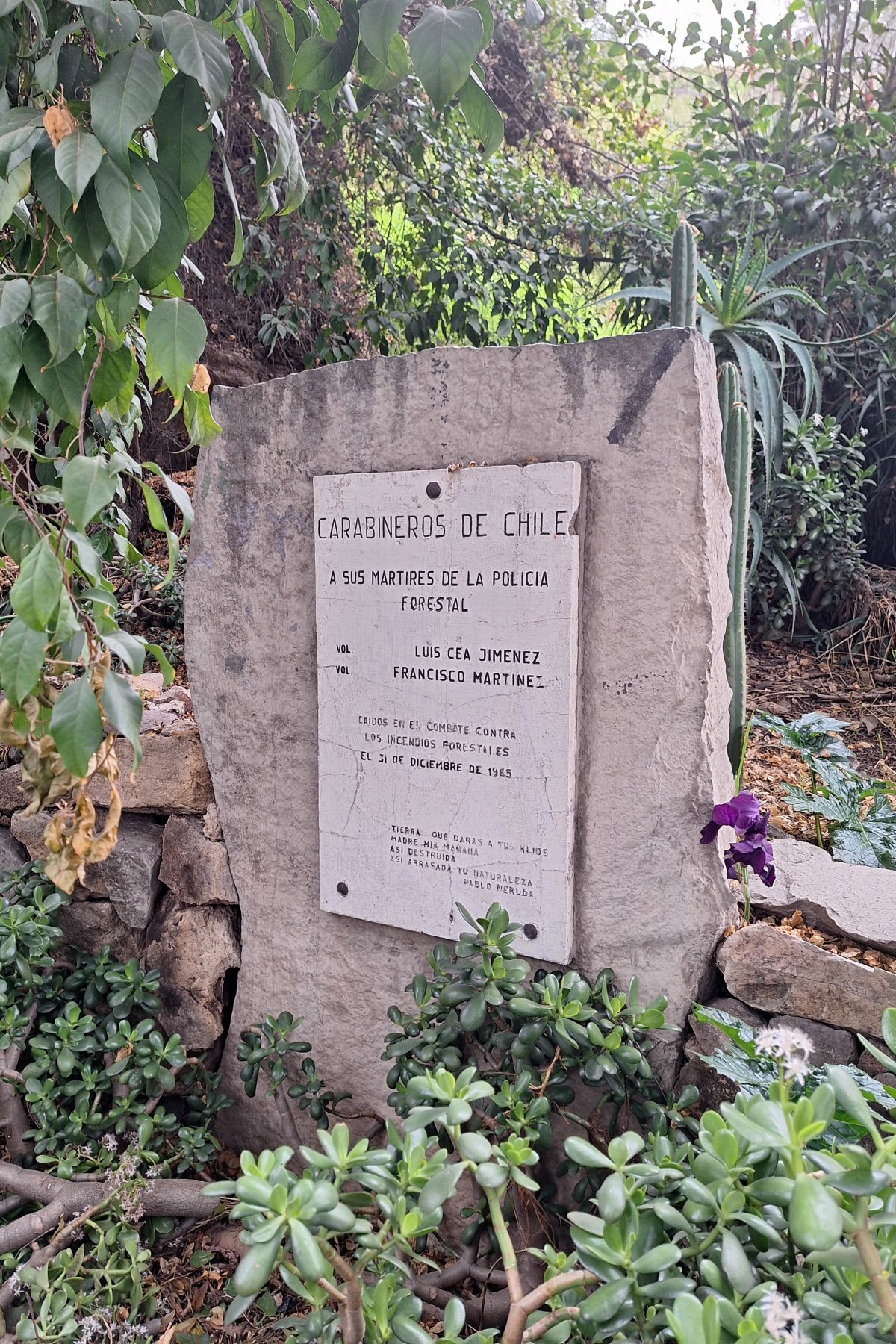 세로 블랑코: 칠레의 숨겨진 길들 - Recoleta | Secret World Trip Planner