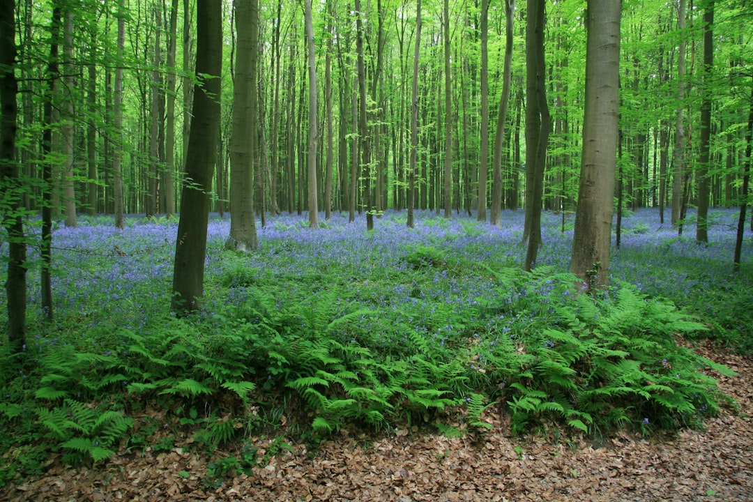 Weekend in Halle with Secret World: The Perfect Travel Plan - Halle | Secret World Trip Planner