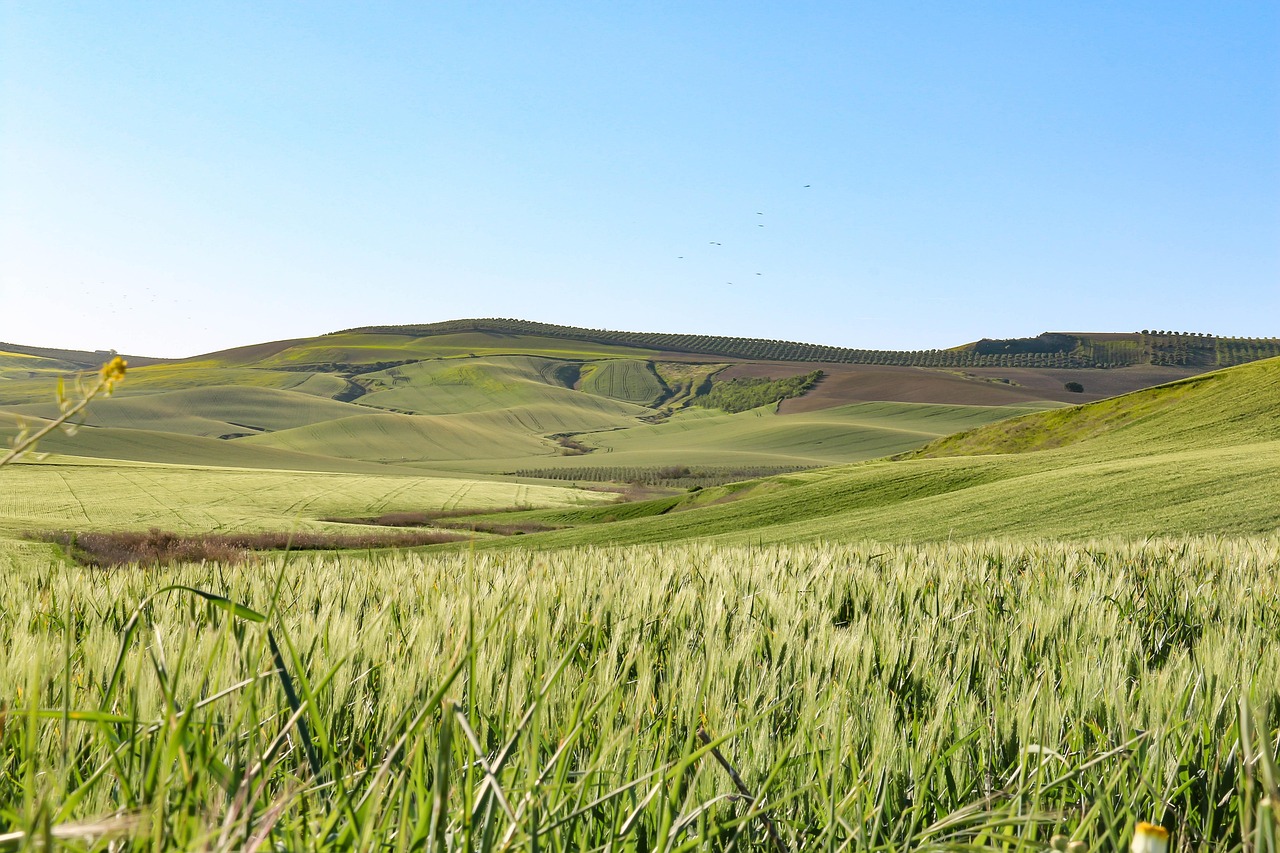 Top 5 travel apps Córdoba 2026: scopri Secret World - Córdoba | Secret World Trip Planner