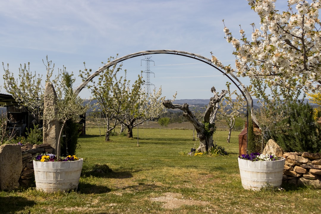 Migliori app viaggio Bragança 2026: le 5 top testate - Bragança | Secret World Trip Planner