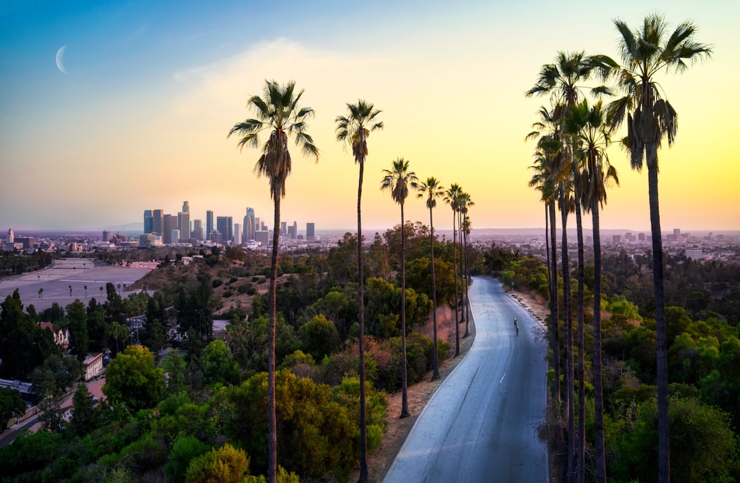 Top 5 Travel Apps in Los Angeles 2026: Discover the Best - Los Angeles | Secret World Trip Planner
