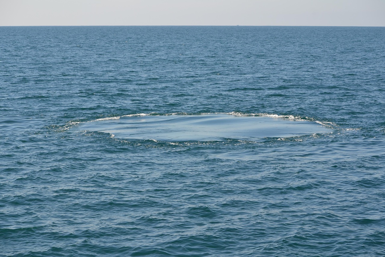 Secret World vs Wanderlog in Snowdonia 2026: Which to Choose? - Snowdonia | Secret World Trip Planner