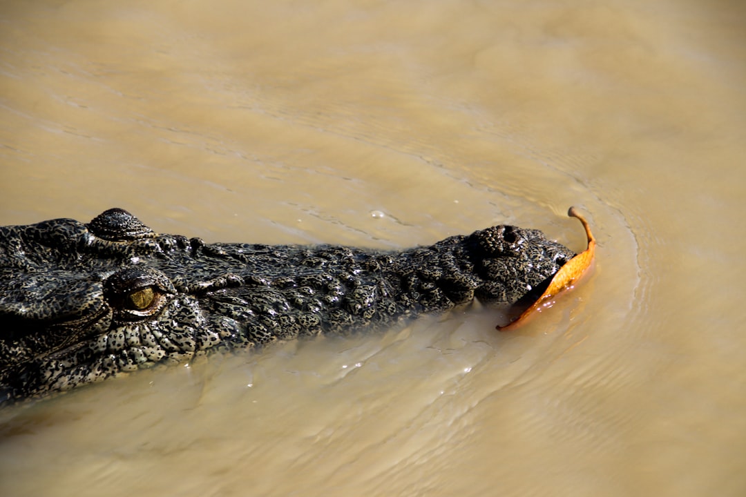 Itinerario perfetto Kakadu con AI: guida 2026 - Kakadu | Secret World Trip Planner