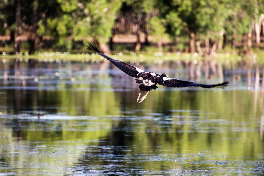 Perfect Kakadu Itinerary with AI: 2026 Guide - Kakadu | Secret World Trip Planner