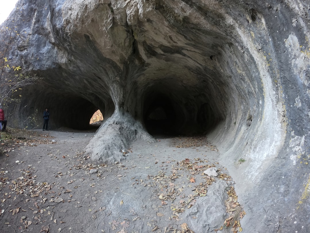 Découvrez les Grottes de Postojna : Un Voyage Souterrain Unique - Jamska cesta 30 | Secret World Trip Planner