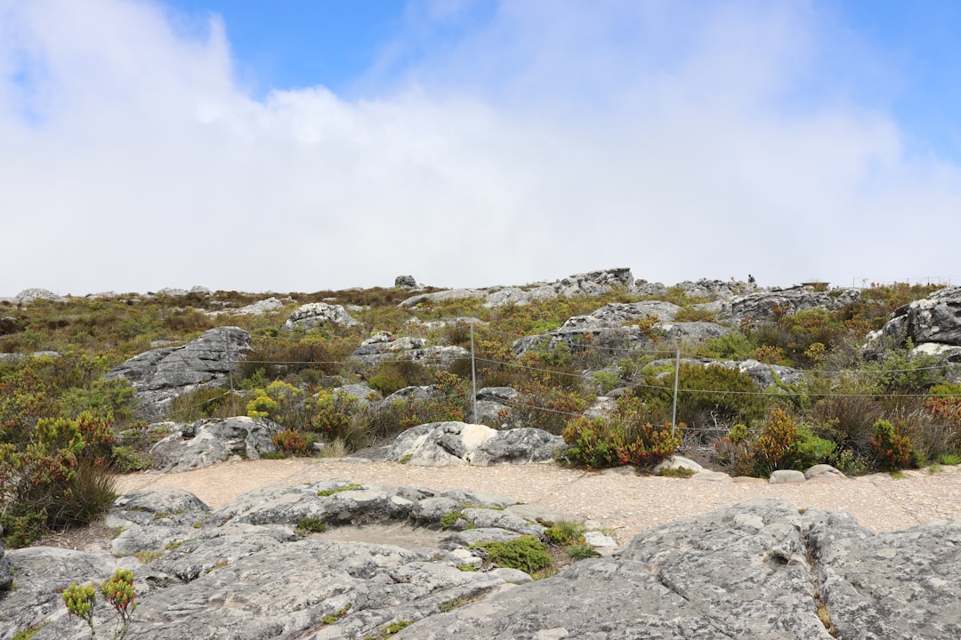 Le Phare de Maclear : L'Iconique Vue de Cape Town - Table Mountain (Nature Reserve) | Secret World Trip Planner