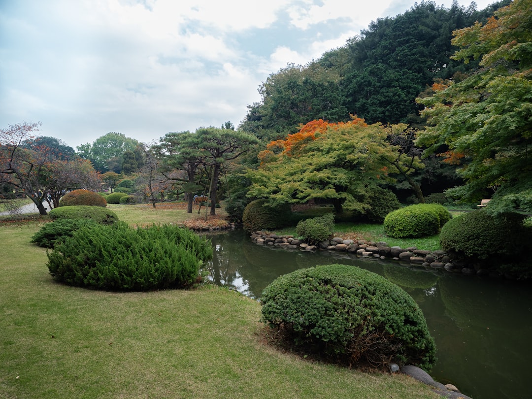 Explorando el Jardín Nacional de Shinjuku Gyoen - Shinjuku City | Secret World Trip Planner