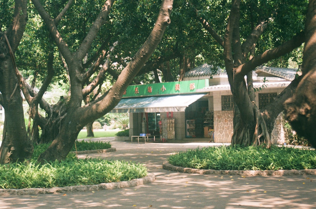 Descubra as maravilhas subterrâneas de Uçhisar, Turquia - Göreme-Uçhisar Yolu 3. Km | Secret World Trip Planner