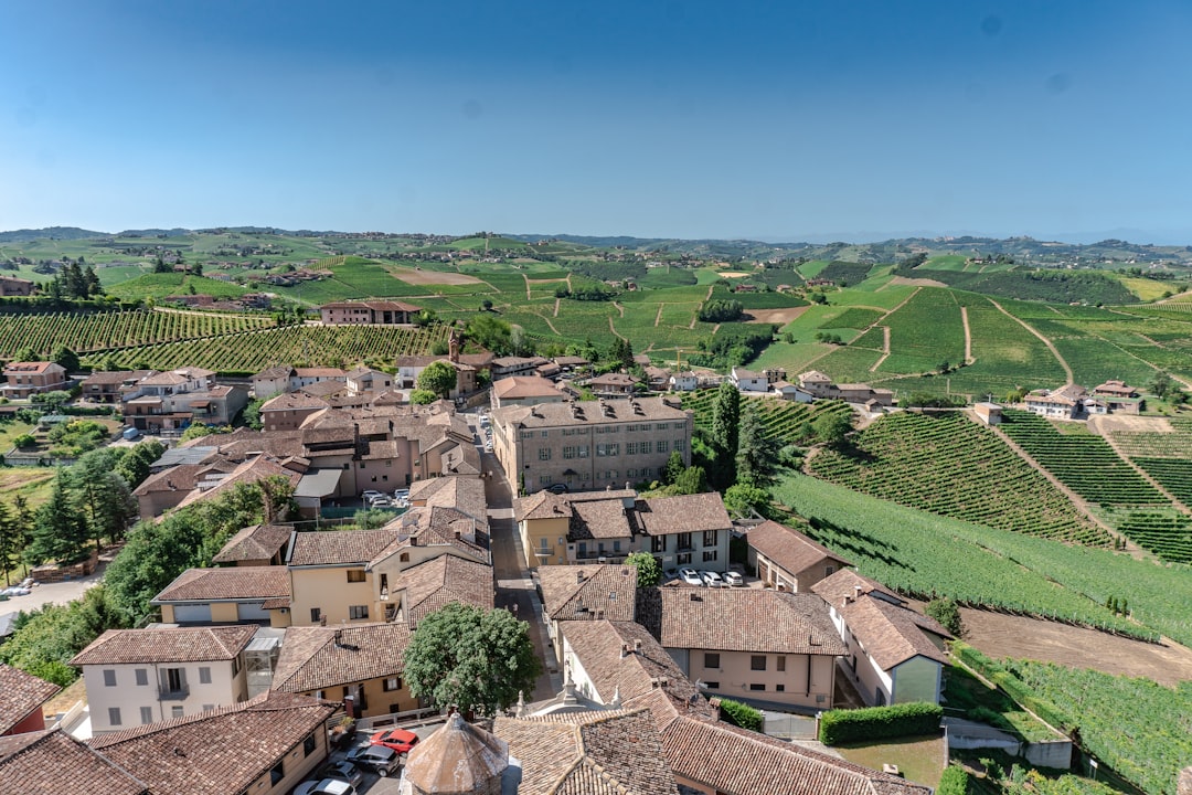 Descubre los Vinos de Langaround: Barolo y Barbaresco - 9 | Secret World Trip Planner