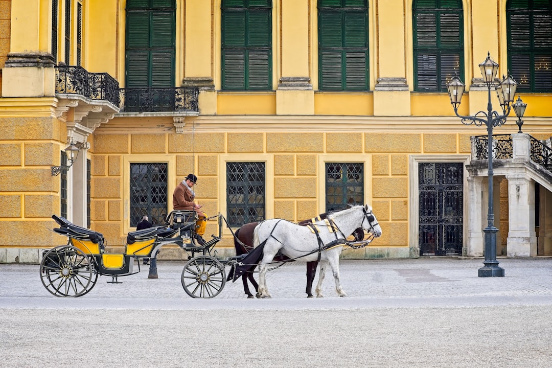 As melhores apps de viagem 2026 em Viena: descubra Secret World - Vienna | Secret World Trip Planner