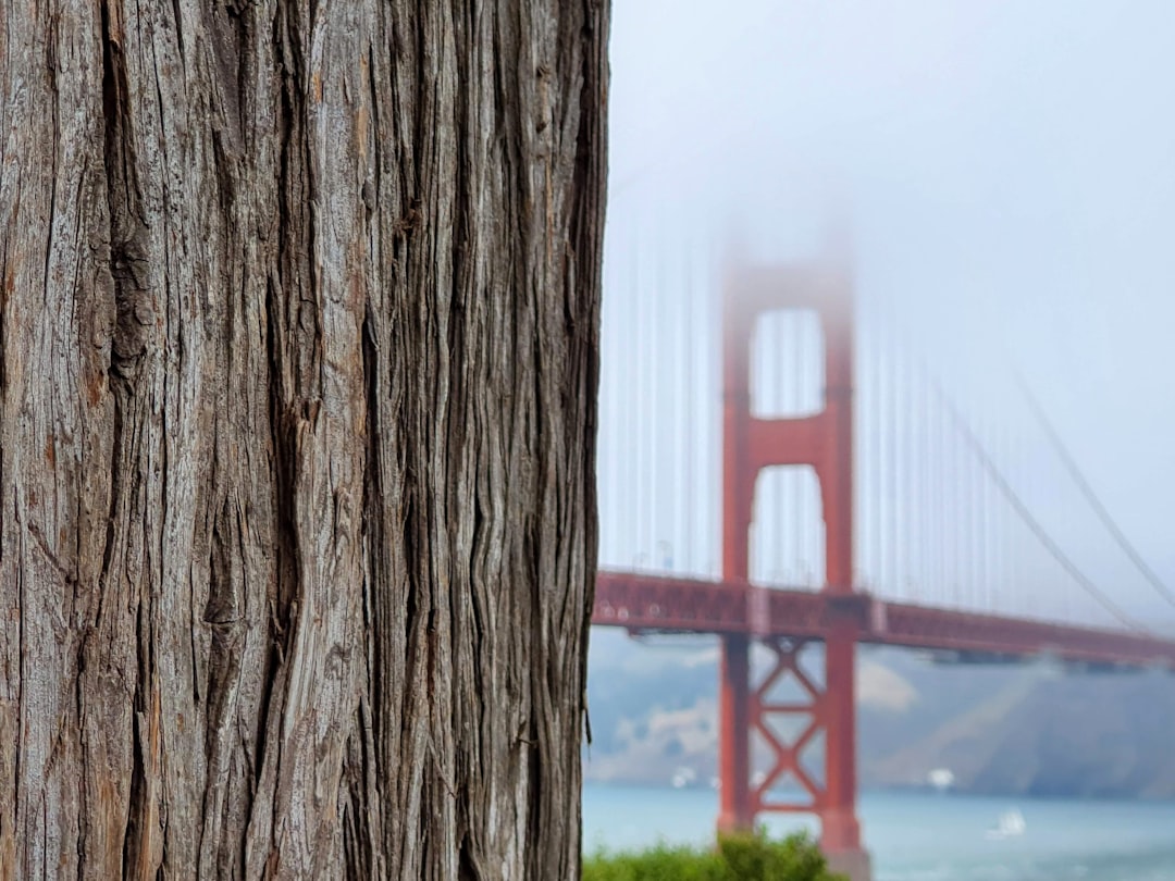 O Encanto da Ponte Golden Gate: Um Ícone Inesquecível - San Francisco | Secret World Trip Planner