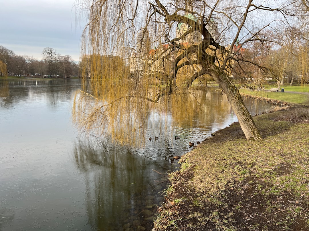 Herrenhäuser Gärten: Ein Botanisches Paradies in Hannover - Herrenhäuser Str. 4 | Secret World Trip Planner