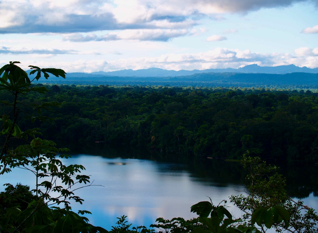 Explorando la Magia de la Selva Amazónica - Codajás - Amazonas | Secret World Trip Planner