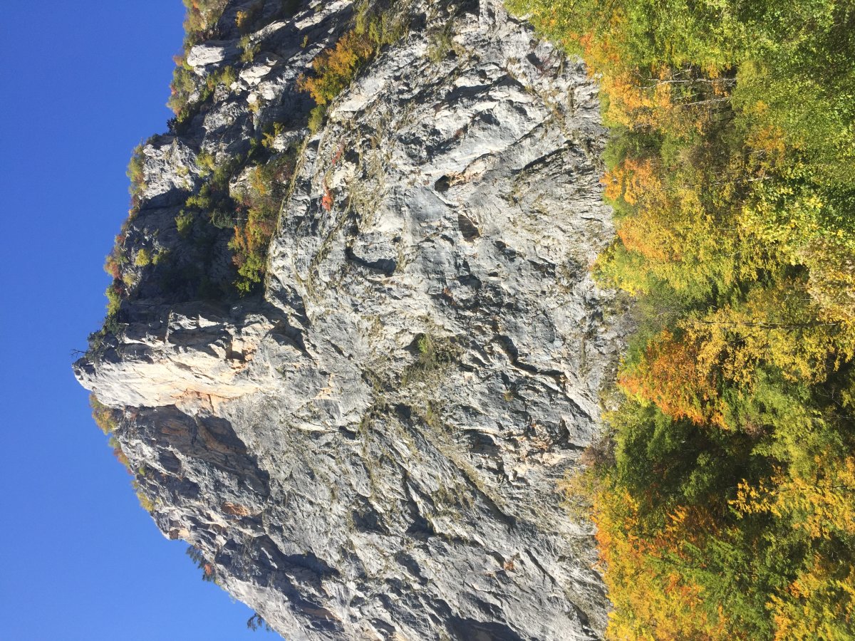 Discover the Dinaric Alps: Nature and Biodiversity — Alpi Dinariche