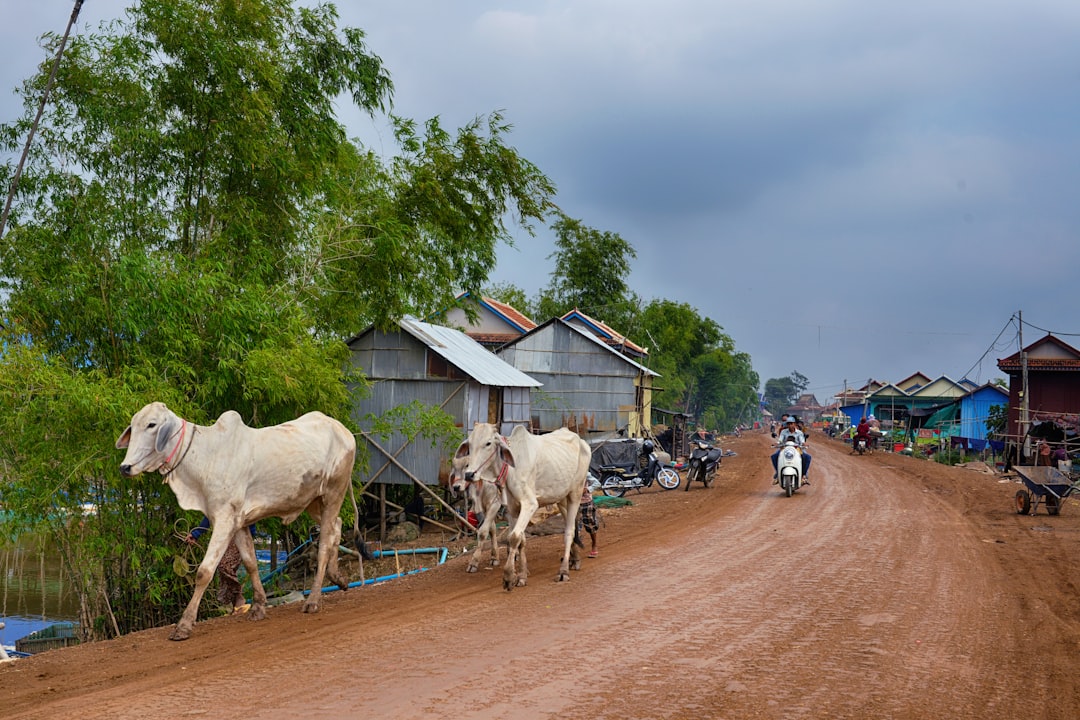 Descubre Landmap: una experiencia única en Camboya | Secret World Trip Planner