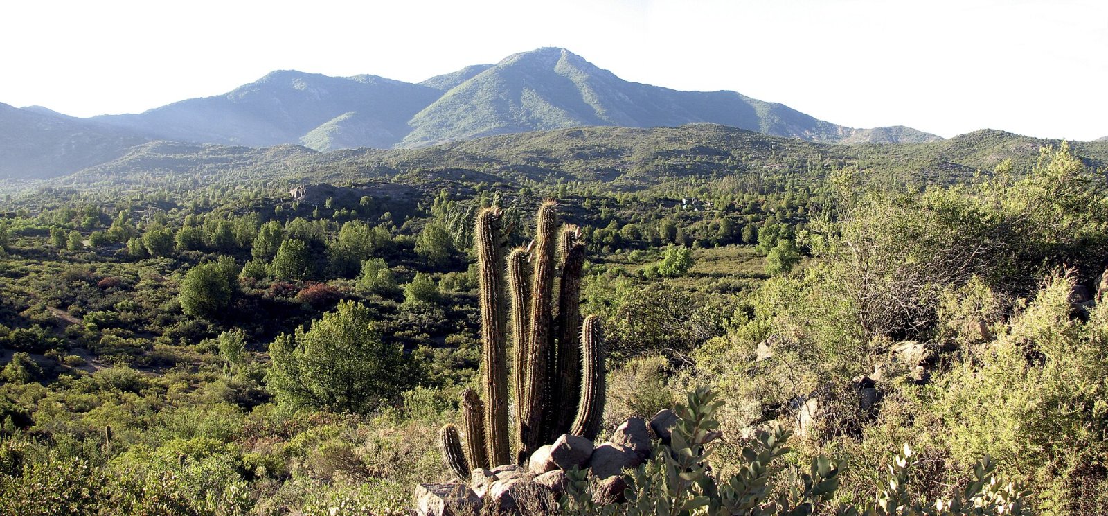 Cerro El Roble: A Natural Paradise in Chile | Secret World Trip Planner